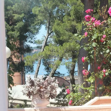 Lucu Rovinj