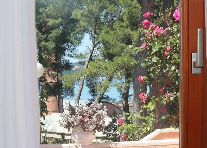 Lucu Rovinj